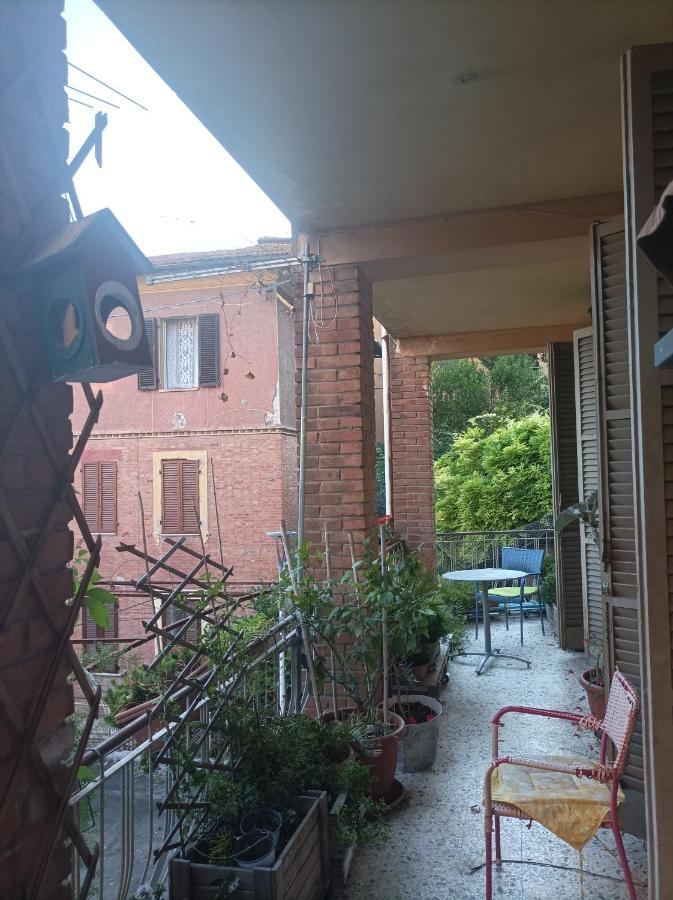 Boh & Boh A Casa Di Luca And His Cats Apartment Perugia Exterior photo